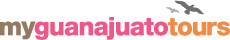 guanajuato tours