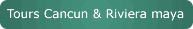 Tours in cancun and riviera maya categories