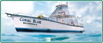 Cancun tours -  Cozumel Plus