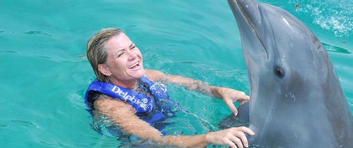 SWIMWITHDOLPHINS