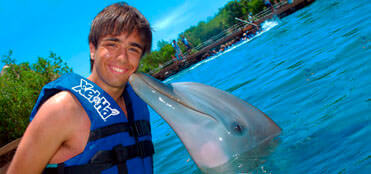 Swim with dolphins in Riviera Maya | Xelha Tours, deals and discounts