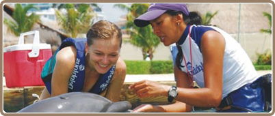 Swim with dolphins in Cancun | Cancun Tours, deals and discounts