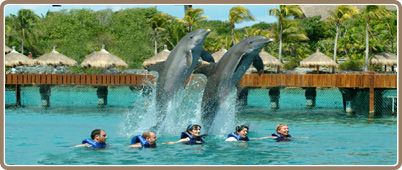 Xcaret Tour and Swim with Dolphins | Cancun Tours