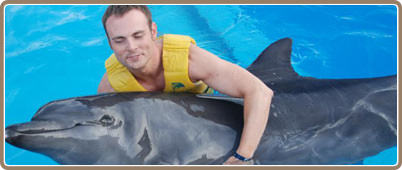 Dolphin Swimming Tours | Cancun Cheap tours