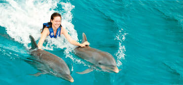 Swim with dolphins programs in Cancun | Cancun tours, deals and discounts