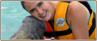 Sealife discovery plus Tour | Swim with Dolphin Tours Cancun