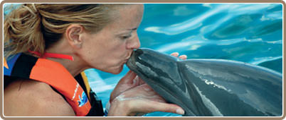 Swim with dolphins in Cozumel | Cozumel Tours, deals and discounts