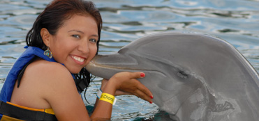 Swim with dolphins in Cozumel | Cozumel Tours, deals and discounts