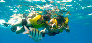 Snorkel Cozumel Tours | Snorkel Excursions in Cozumel