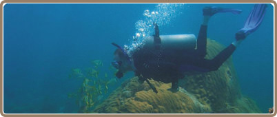 Scuba Diving in Cozumel: One tank | Cozumel one tank diving 