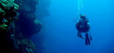 Scuba Diving in Cozumel: two tanks | Cozumel Scuba Diving
