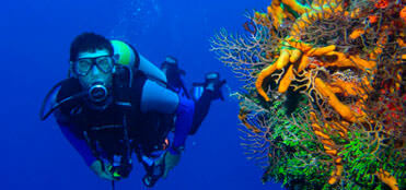 Diving Lessons and Curses in Cancun | Cancun Diving Tours