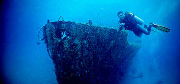 Night Diving Tour in Cancun | Scuba Diving in Cancun