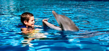Dolphin Ride Tours and Xelha All inclusive | Combo Tours
