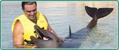 Dolphin Swim Program Cancun | Cancun Cheap Tours