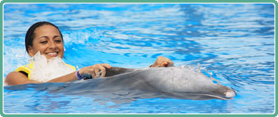Swim with dolphins in Cancun | Cancun Cheap Tours