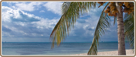 Isla Mujeres Tour from Cancun | Cancun Tours