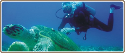 Cancun tours & activities | Riviera Maya, Chichen Itza & Xcaret tours