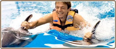 Swim with dolphins in Riviera Maya | Riviera Maya Tours, deals and discounts