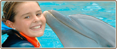 Swim with dolphins in Riviera Maya | Riviera Maya Tours, deals and discounts