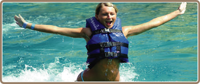 Riviera Maya Dolphins Tours | Swimming with dolphins in the Mayan Riviera