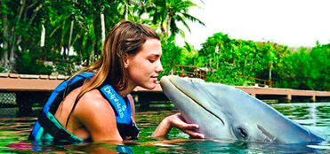 Swim with Dolphins in Xelha All inclusive | Cancun Tours