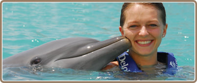 Swim with dolphins in Riviera Maya | Mayan Riviera Tours, deals and discounts