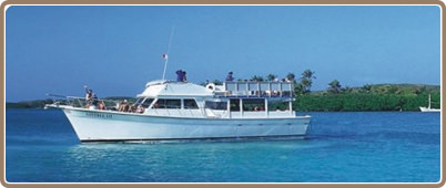 Ecological Tours and Adventures | Tours from Cancun