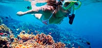 Snorkel and Diving Lessons