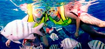 Cozumel Tours