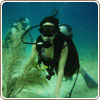 Snorkel/Scuba Diving Specials