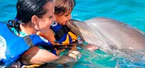 Swim with Dolphins