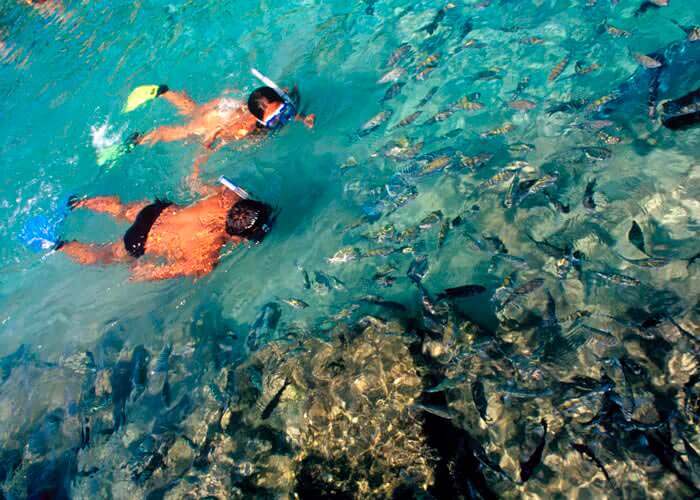 Xcaret Basic Tour Xcaret Park Tours