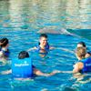 Cancun private dolphin swim