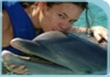 SWIM WITH DOLPHINS