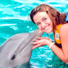 Dolphin Encounter Cancun- Isla Mujeres