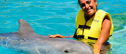 Dolphin Trainer for the Day - TFD+Wet & Wild