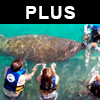 Sealife discovery plus