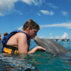 Dolphin Encounter Cozumel