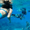 Cozumel Snorkel