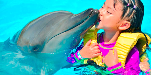 Dolphin Interactive Program+Wet & Wild