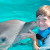 Dolphin Encounter Riviera Maya