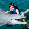 Swim with dolphins Riviera Maya