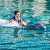 Private swim with dolphins, Riviera Maya
