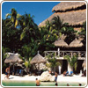 Xcaret basic tour from Cancun