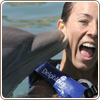 Xcaret plus tour + swim with dolphins