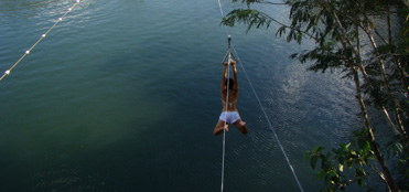 Cancun Ziplines + Cenote Mojarras Tour