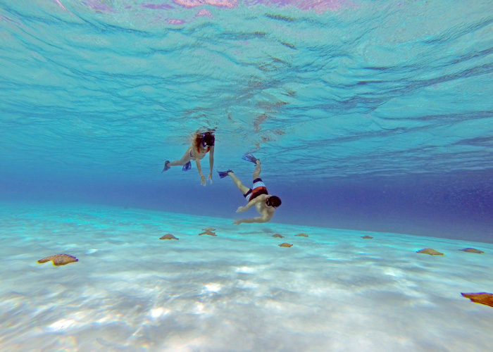 catamaran cozumel el cielo el cielo cozumel snorkel tour cozumel snorkel tour catamaran cozumel el cielo el cielo cozumel snorkel tour cozumel snorkel tour