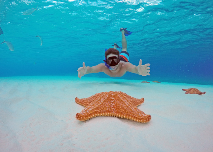 El Cielo Cozumel snorkel tour Cozumel snorkel tour