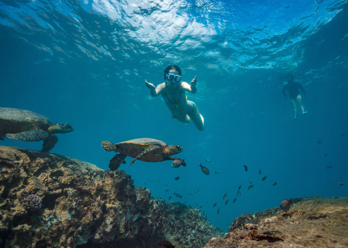 NATURE TOURS Snorkel with Turtles + Isla Mujeres-3